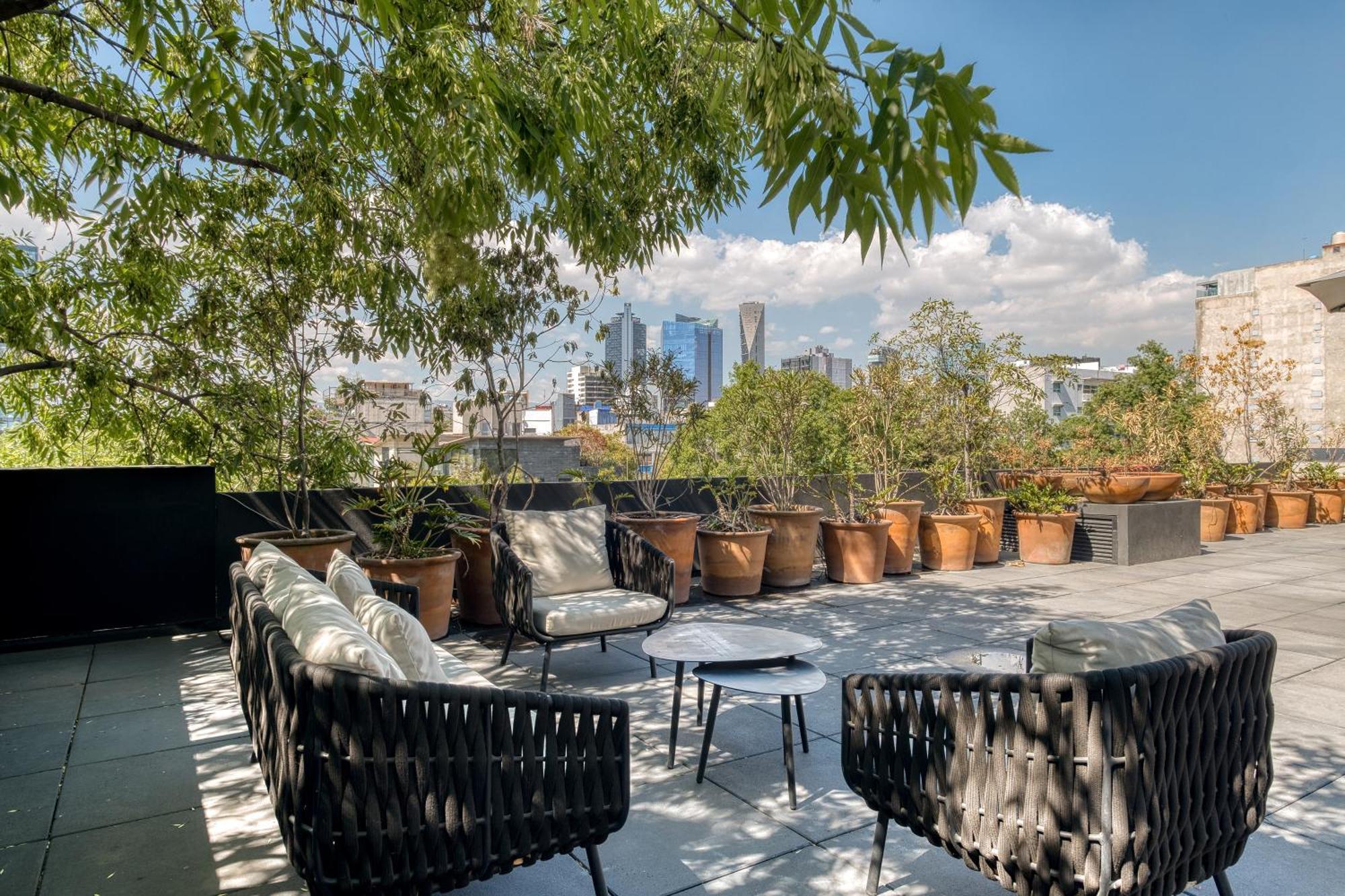 Boga Mexico City By Lumina Kültér fotó